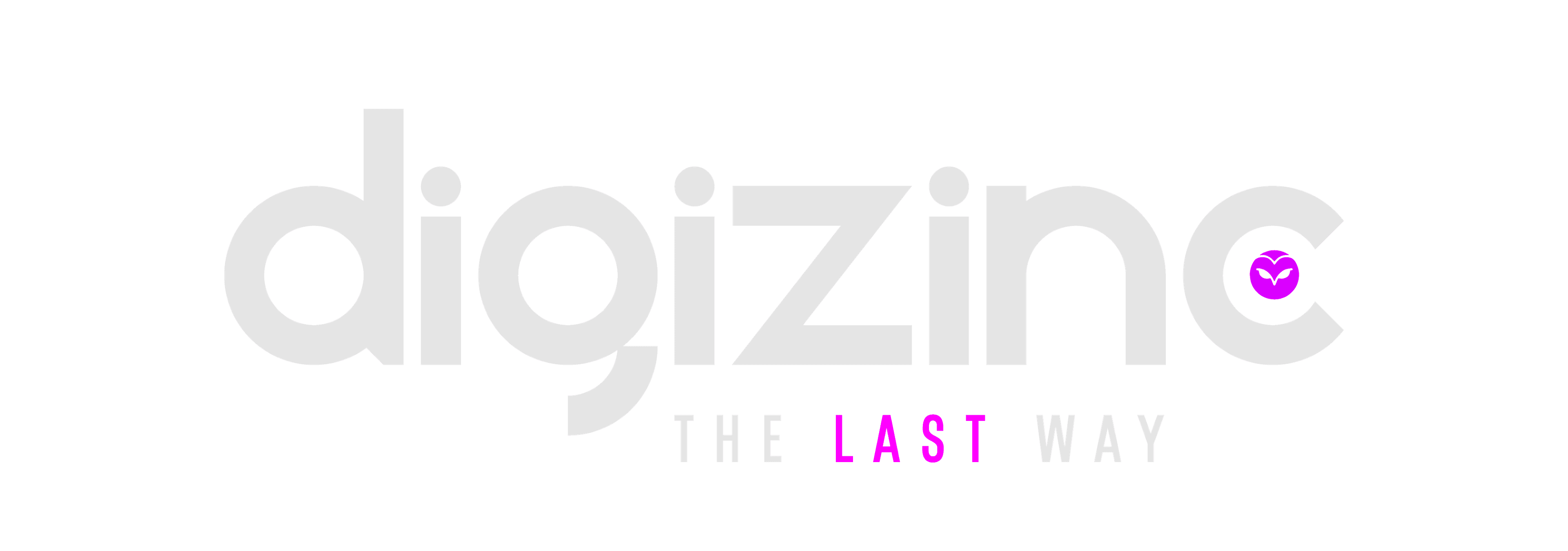 DigiZinc Logo